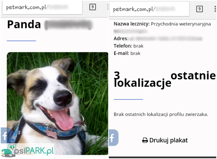 Profil internetowy psa, który wyświetla się po zeskanowaniu kodu